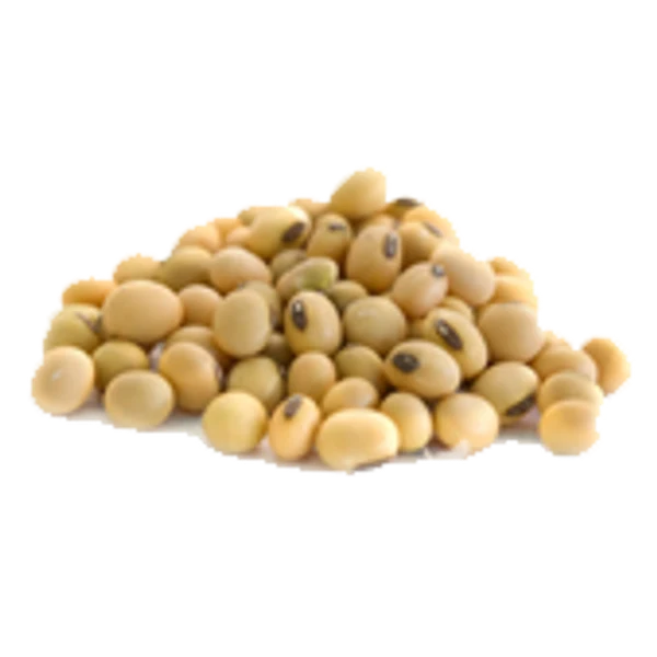 Soya Beans