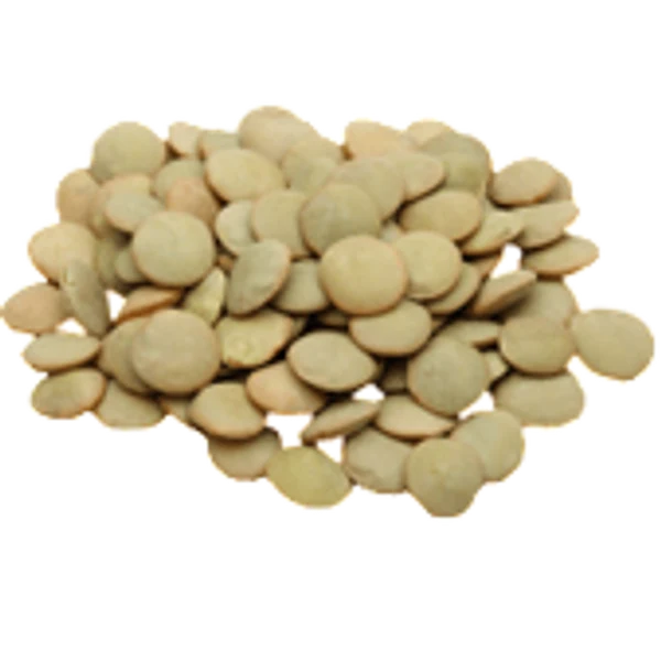 Green Lentils