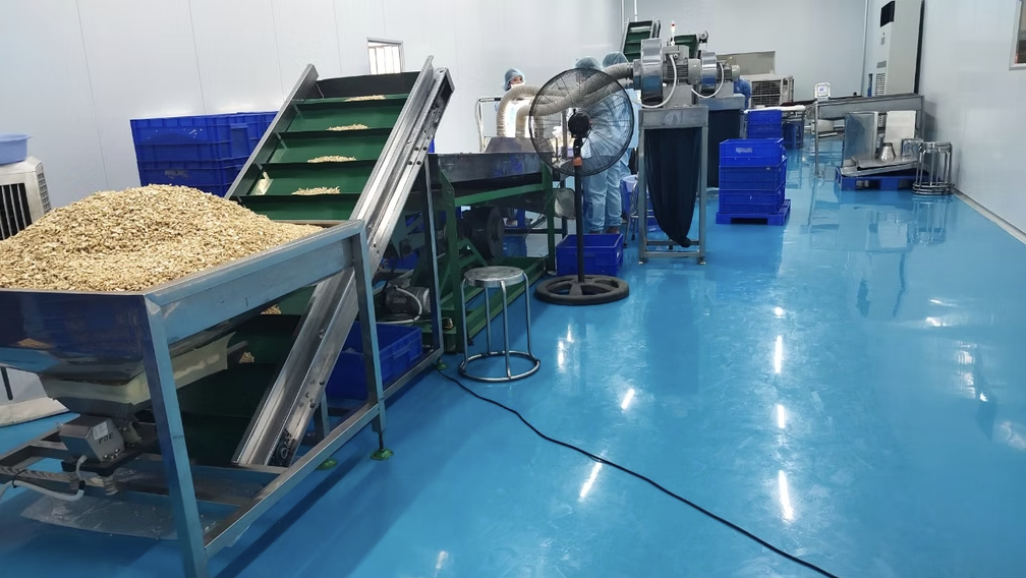 Hygienic processing and sorting line with staff in protective clothing