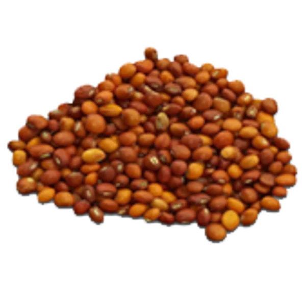 Toor Whole