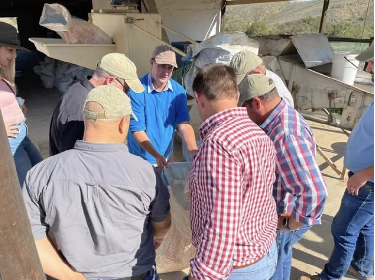 Team inspecting graded product at a cleaning and grading line