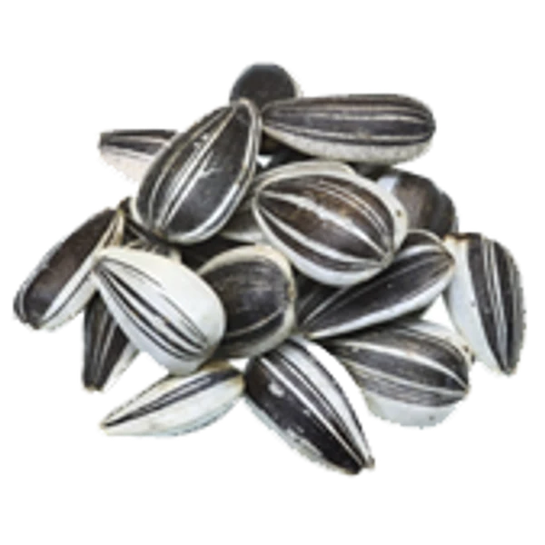 Sunflower Seeds