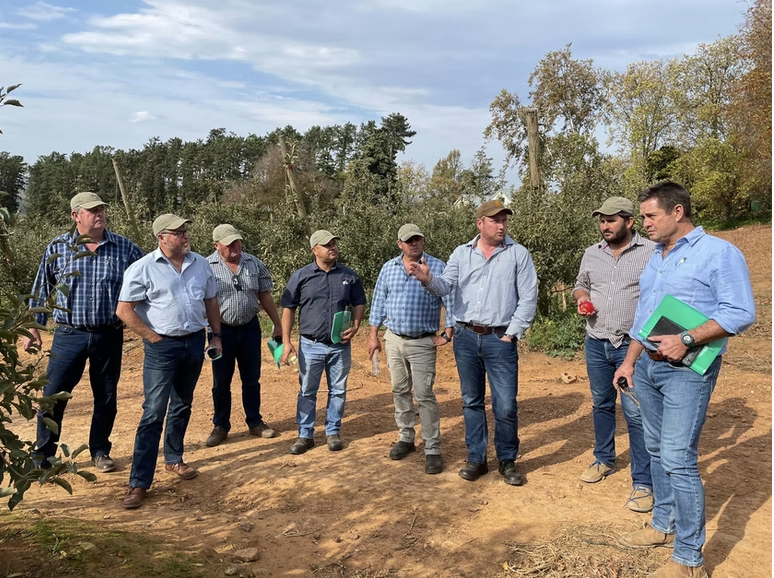 Growers and buyers inspecting fruit quality in an orchard
