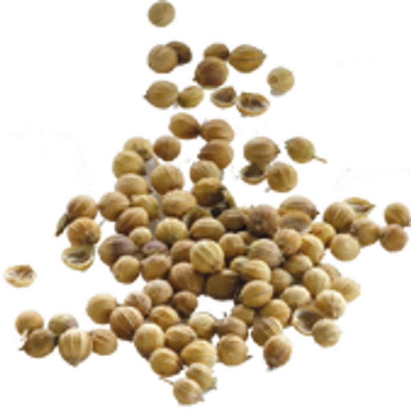 Coriander Seeds