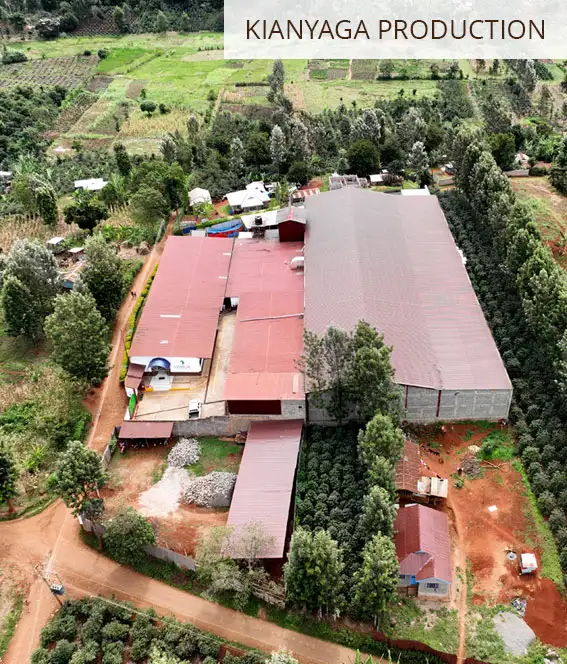 Aerial view of the Kianyaga processing and warehousing facility