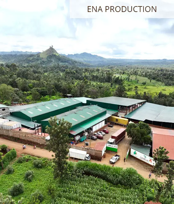 Aerial view of the ENA production and packing facility surrounded by farmland